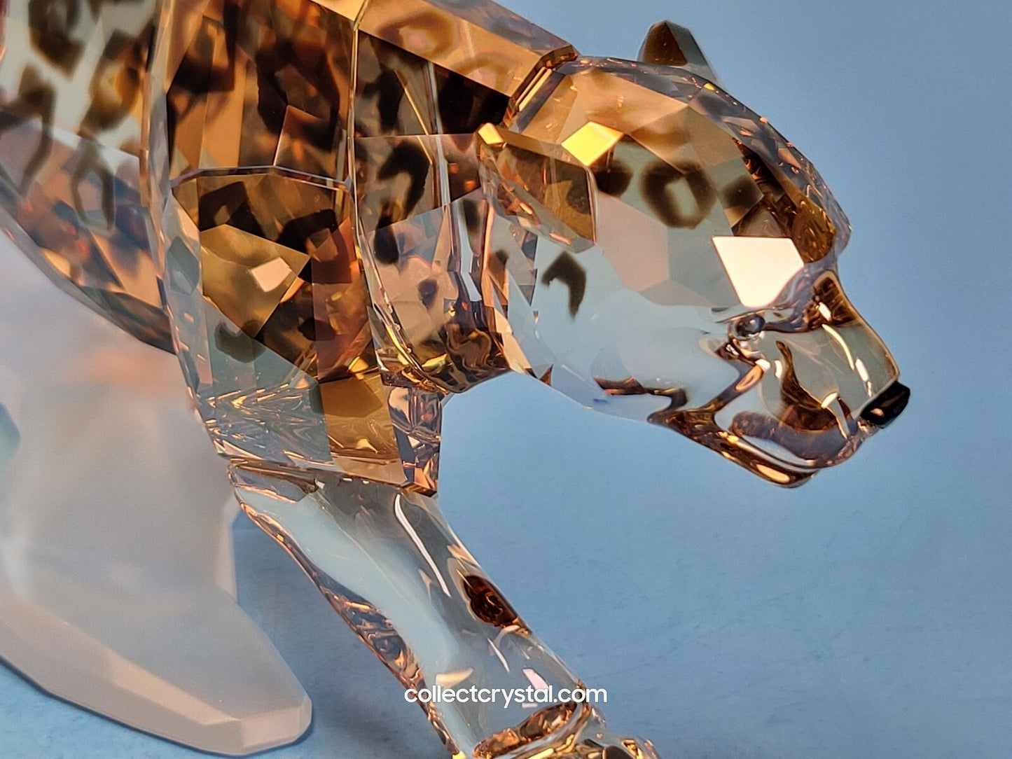 Wildlife Jaguar - Golden Shine 1096796