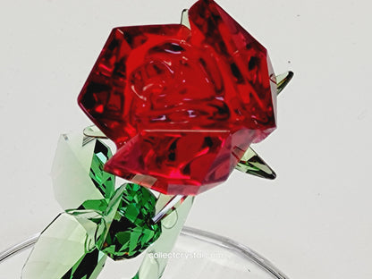 DISNEY BEAUTY AND THE BEAST – ENCHANTED ROSE 5230478