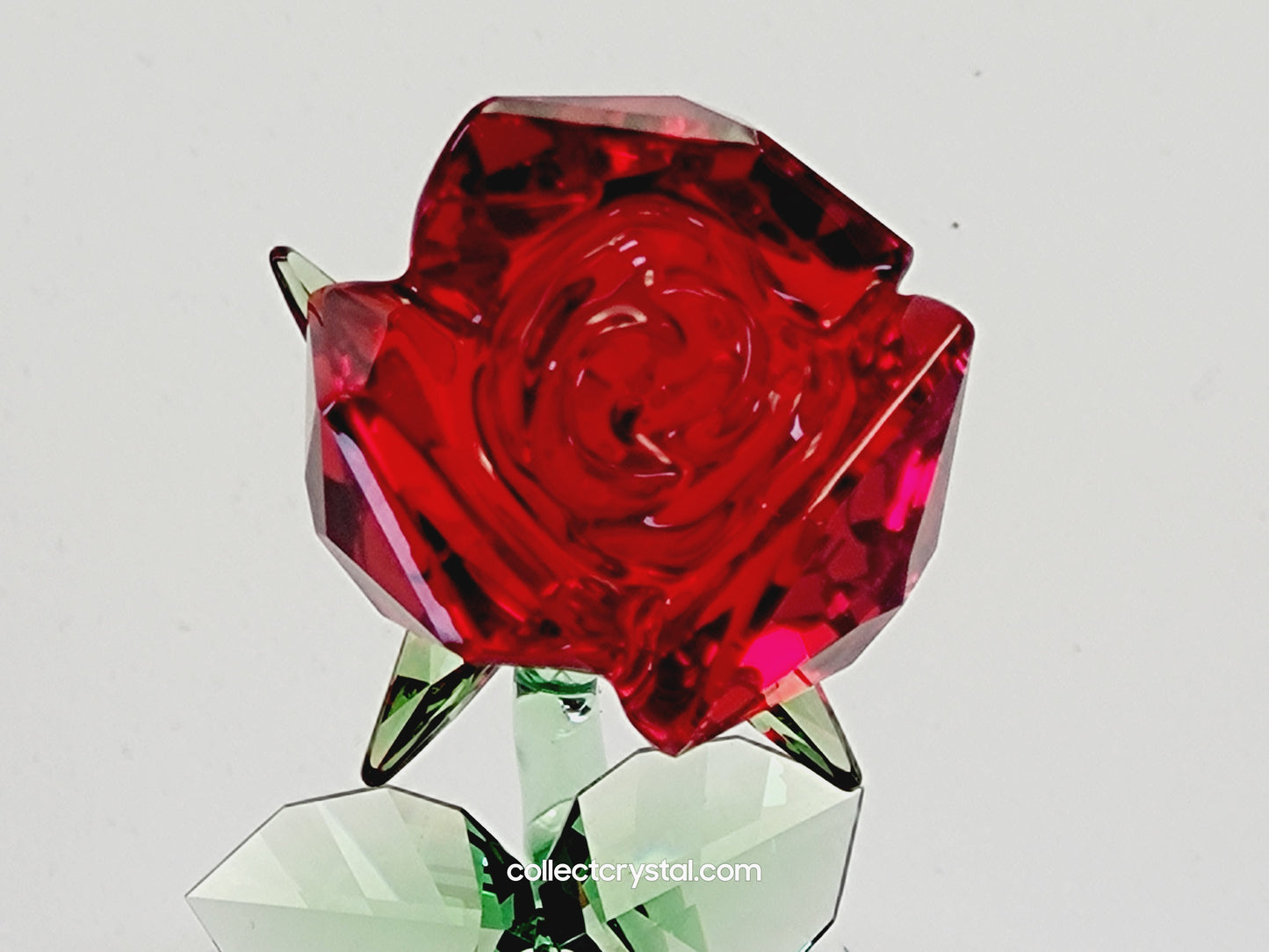 DISNEY BEAUTY AND THE BEAST – ENCHANTED ROSE 5230478