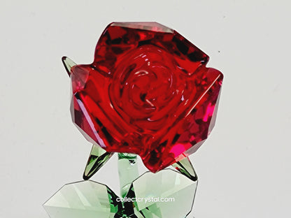 DISNEY BEAUTY AND THE BEAST – ENCHANTED ROSE 5230478