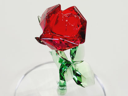 DISNEY BEAUTY AND THE BEAST – ENCHANTED ROSE 5230478
