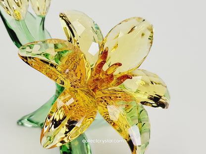 CRYSTAL PARADISE FLOWERS – LILY (2018) 5371641