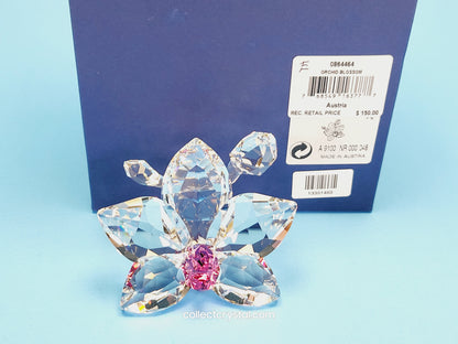 ORCHID BLOSSOM 864464