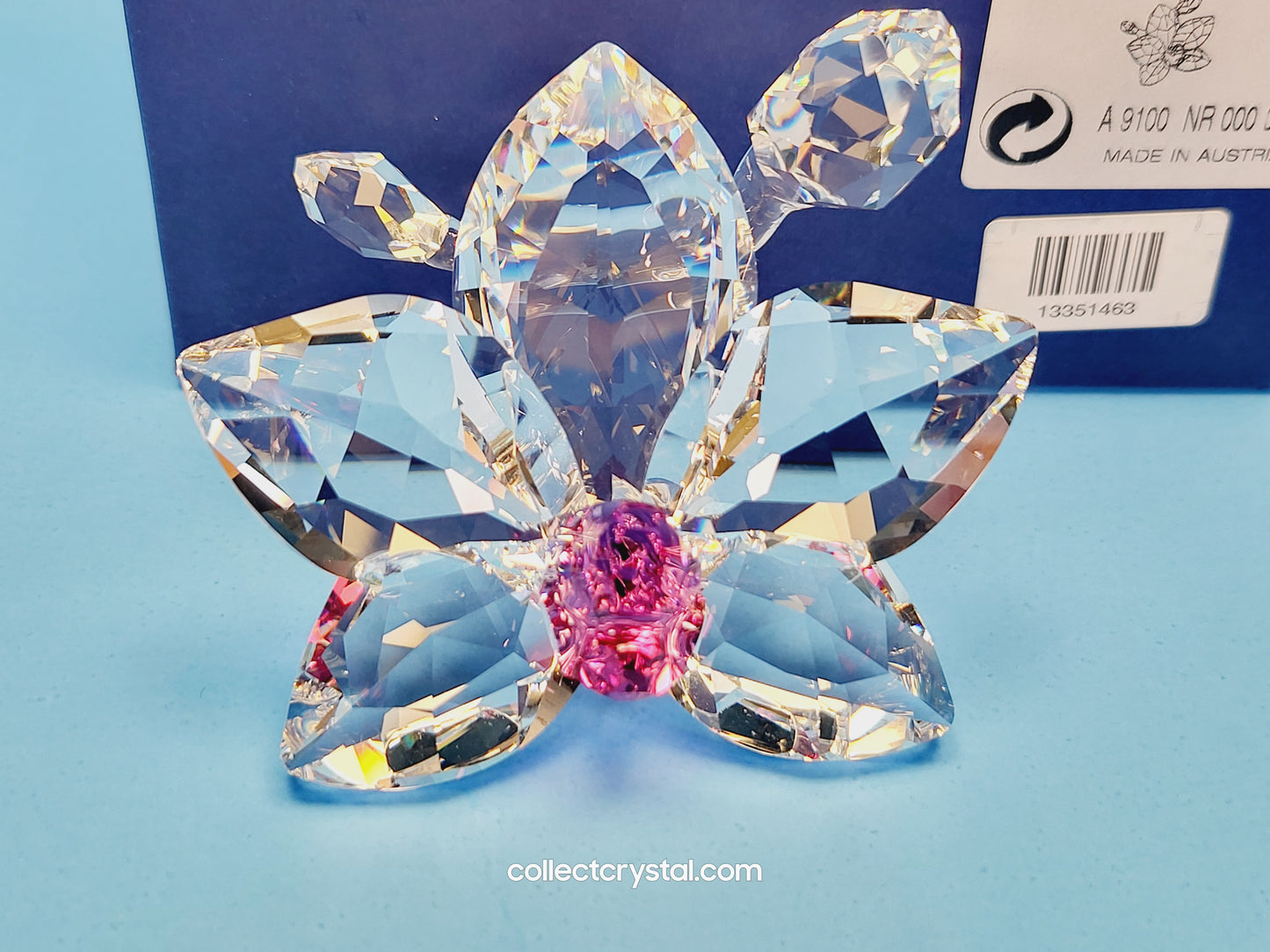 ORCHID BLOSSOM 864464