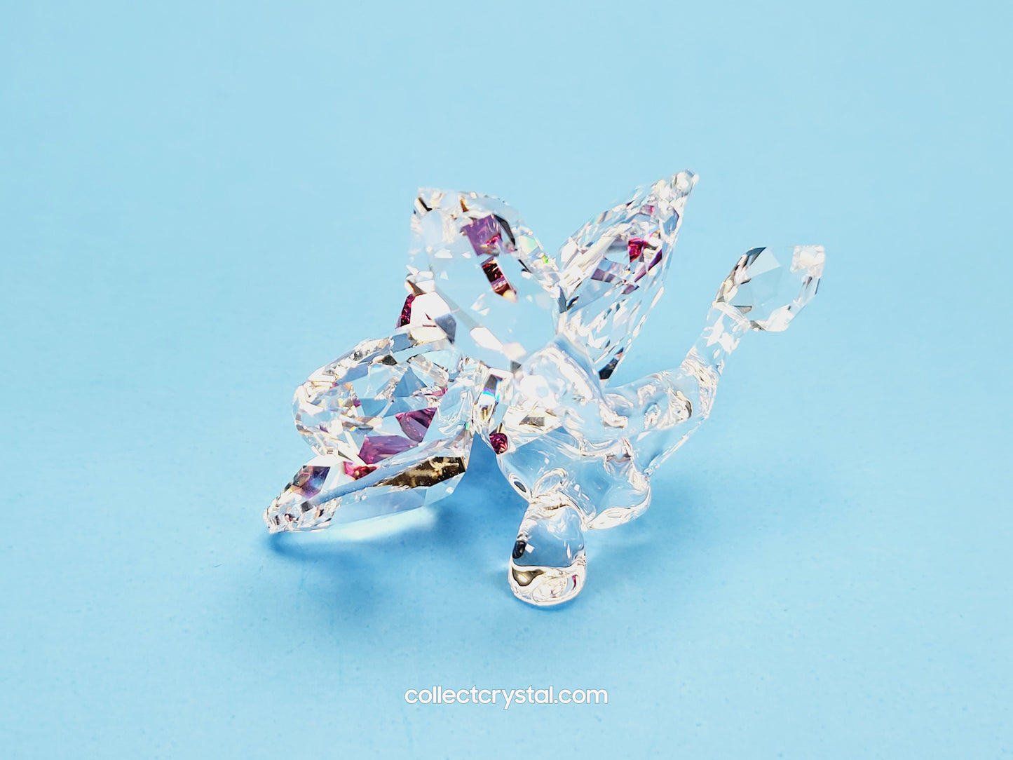 ORCHID BLOSSOM 864464