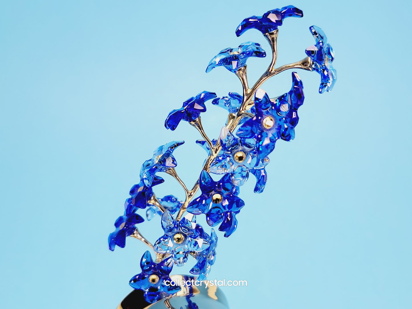 PARADISE FLOWERS – DINDORI SAPPHIRE 677990