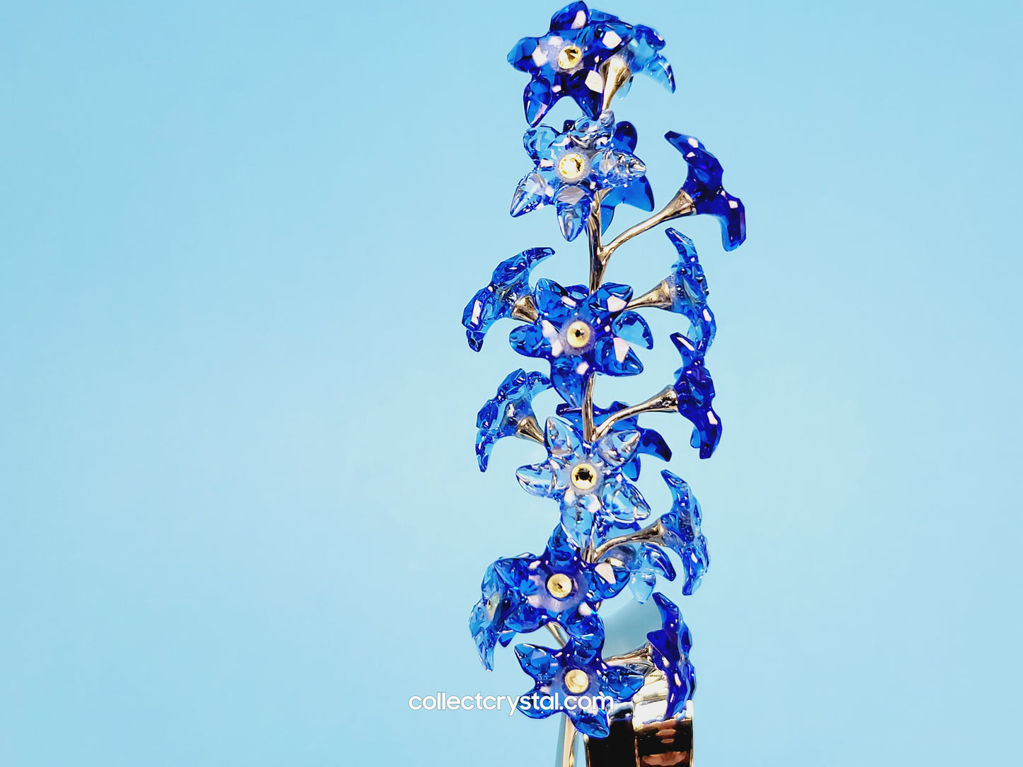 PARADISE FLOWERS – DINDORI SAPPHIRE 677990