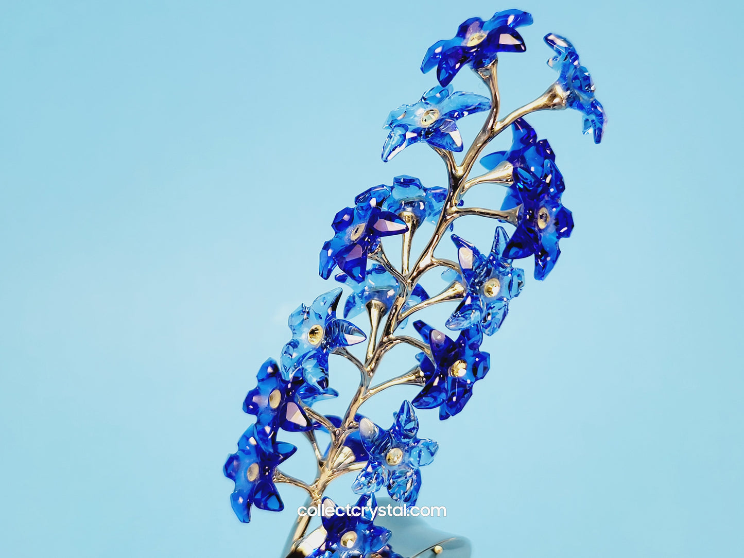 PARADISE FLOWERS – DINDORI SAPPHIRE 677990