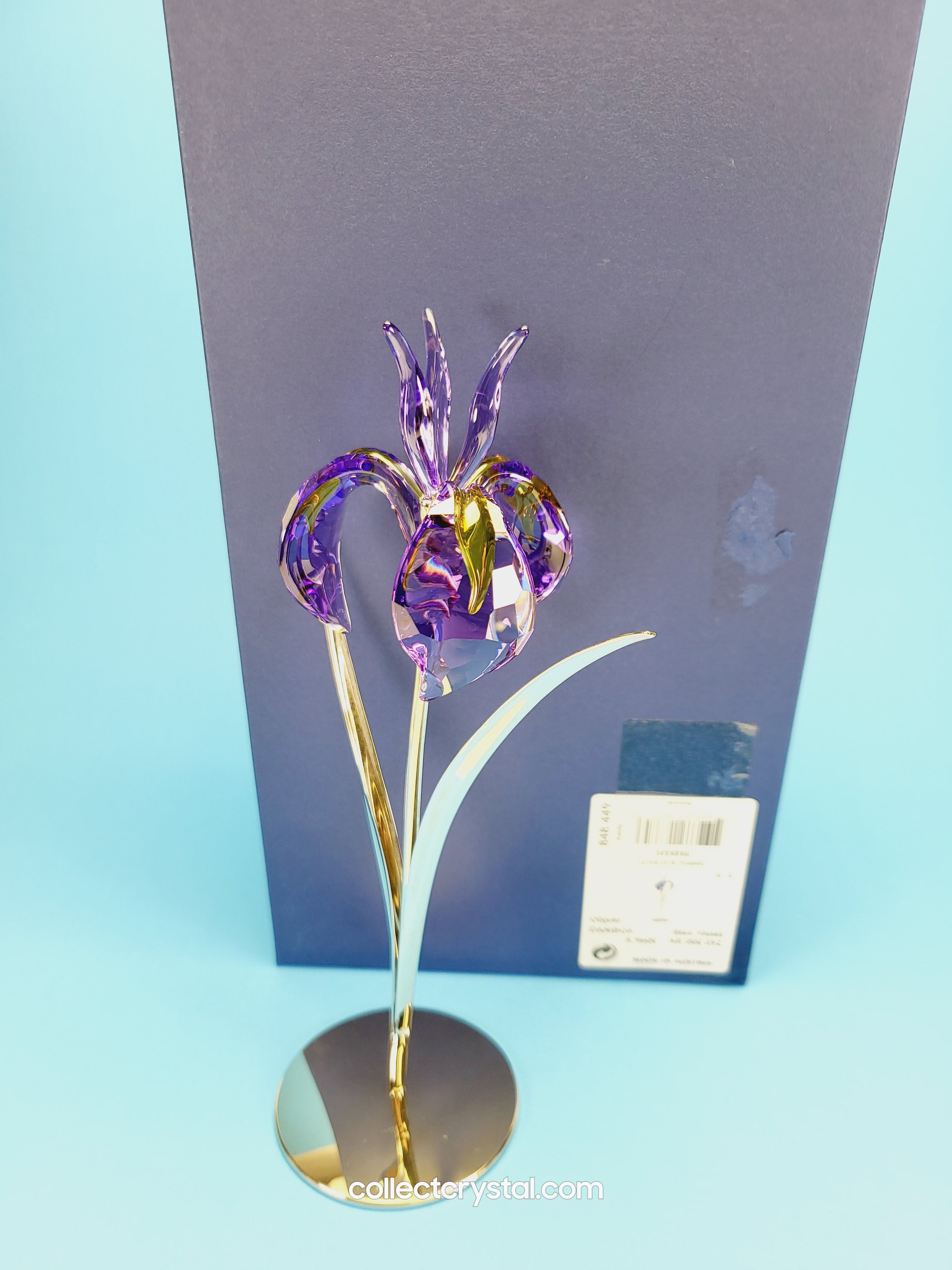 PARADISE FLOWERS – DAMBOA BLUE VIOLET 848449 – Collect Crystal