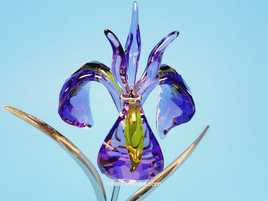 PARADISE FLOWERS – DAMBOA BLUE VIOLET 848449