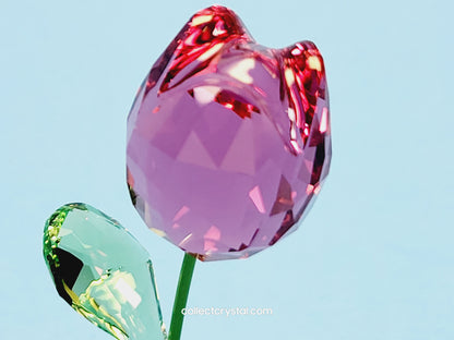 Flower Dreams Pink Tulip Crystal Ornament 5254316