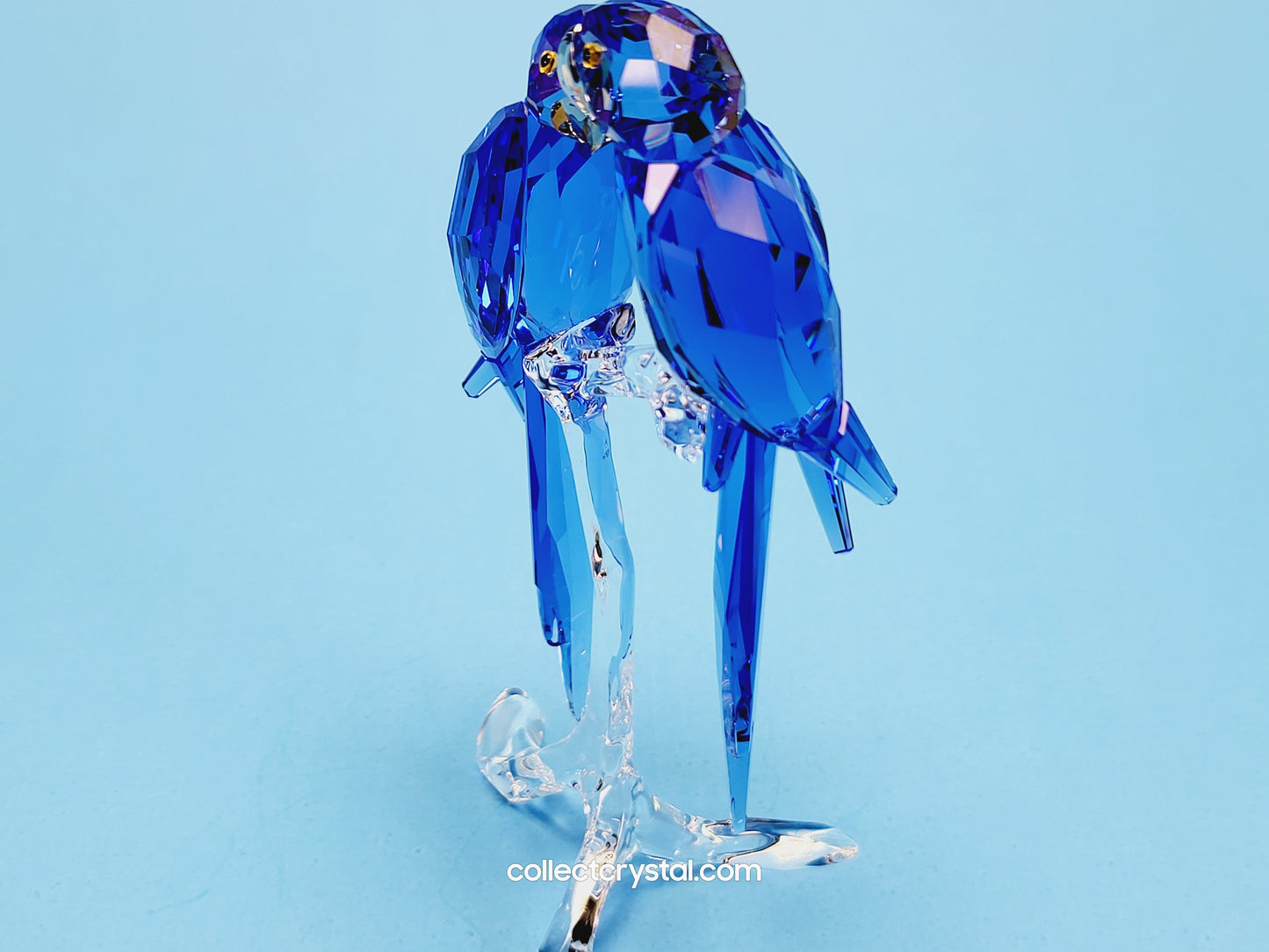 HYACINTH MACAWS # 5004730 blue birds