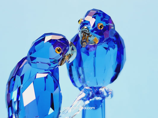 HYACINTH MACAWS # 5004730 blue birds