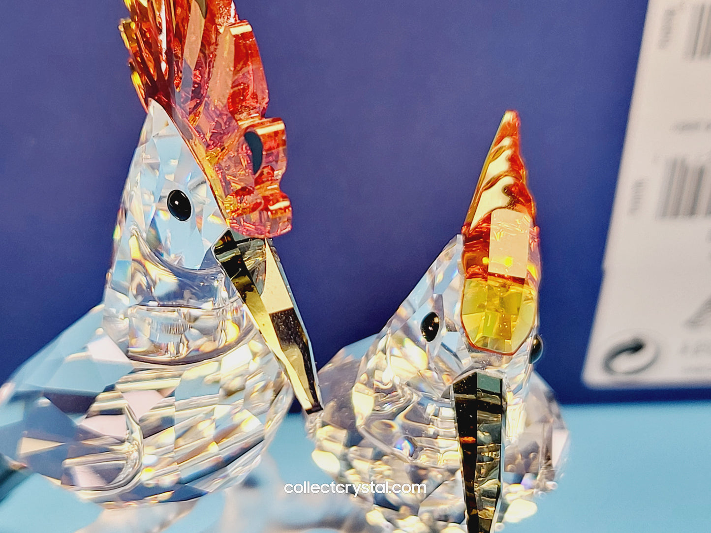 HOOPOES 925080 birds