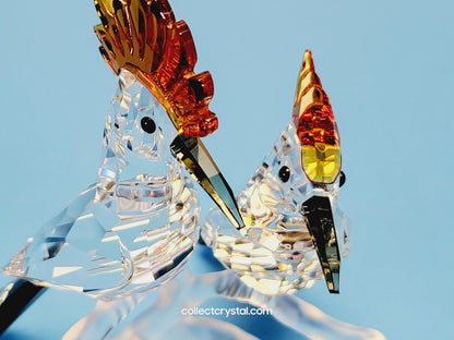 HOOPOES 925080 birds