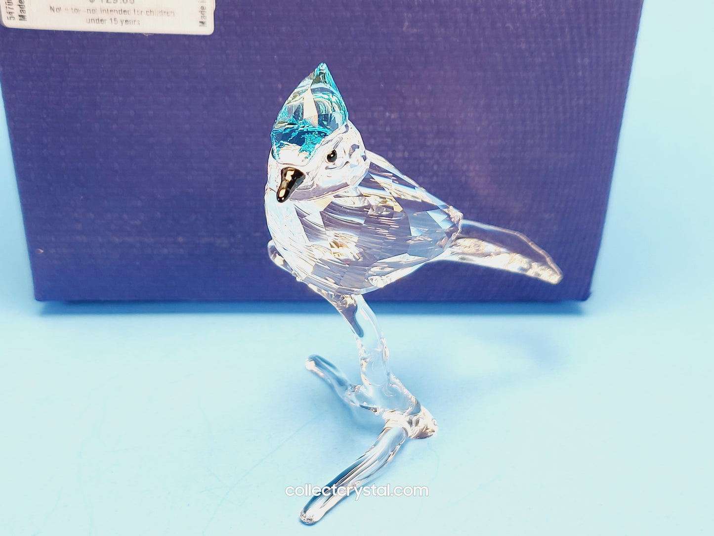 BLUE JAY 2019 ISSUE 5470647 / 5705326 bird