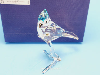 BLUE JAY 2019 ISSUE 5470647 / 5705326 bird