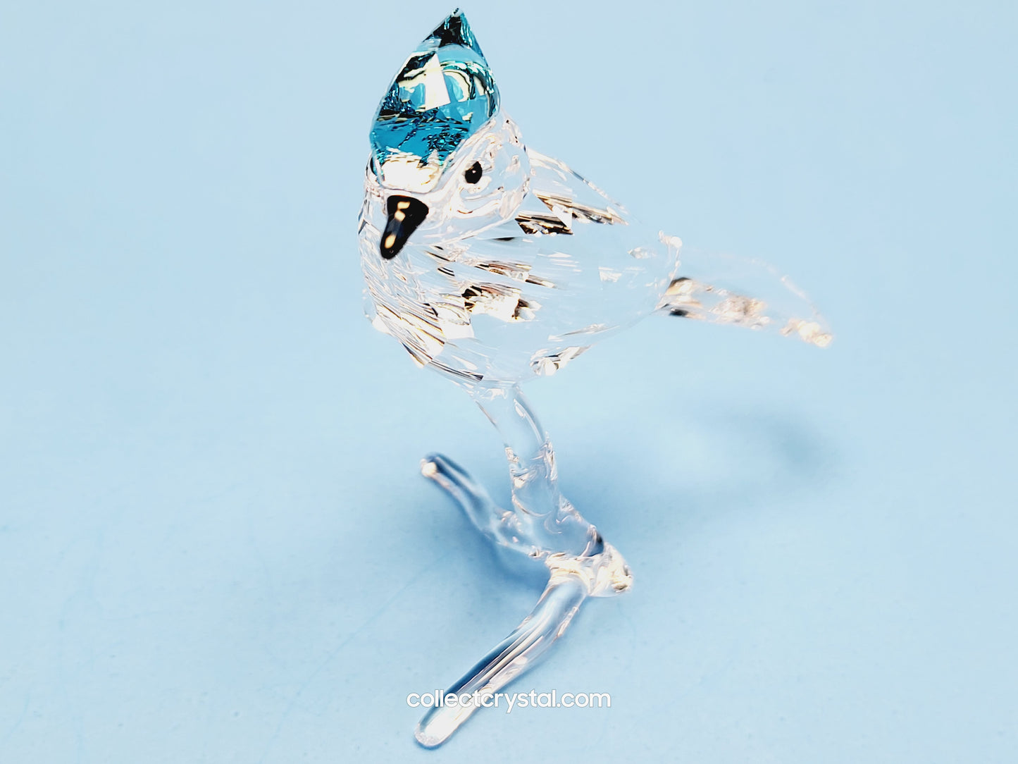 BLUE JAY 2019 ISSUE 5470647 / 5705326 bird