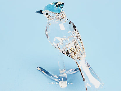 BLUE JAY 2019 ISSUE 5470647 / 5705326 bird