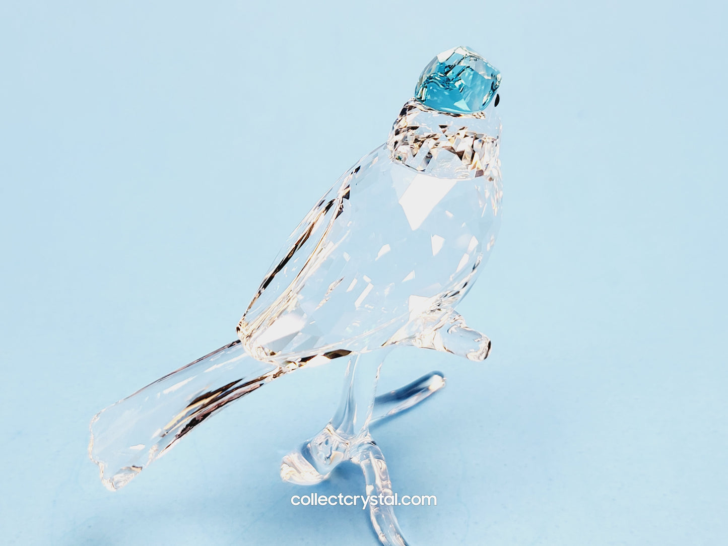 BLUE JAY 2019 ISSUE 5470647 / 5705326 bird