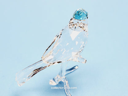 BLUE JAY 2019 ISSUE 5470647 / 5705326 bird