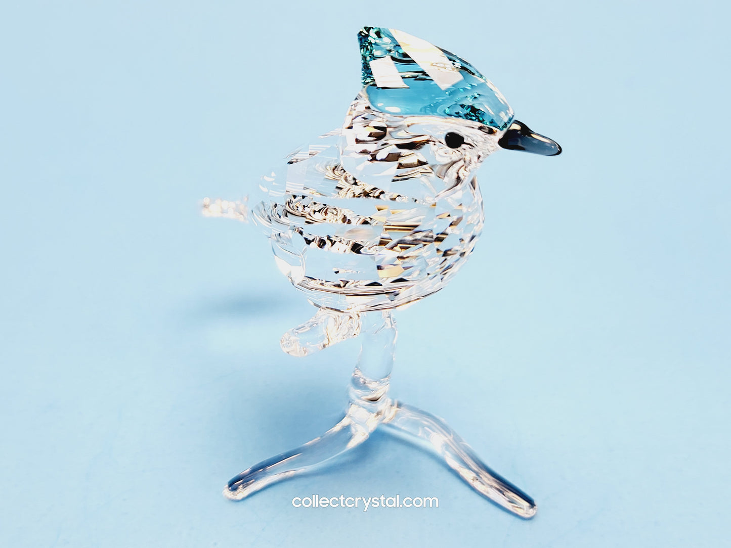 BLUE JAY 2019 ISSUE 5470647 / 5705326 bird