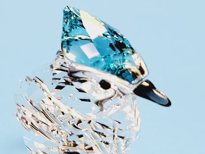 BLUE JAY 2019 ISSUE 5470647 / 5705326 bird