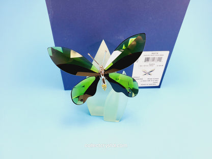 Paradise BUTTERFLY ANAMOSA MOSS GREEN # 622739