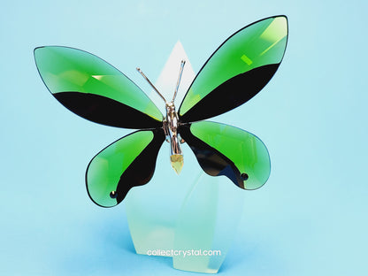 Paradise BUTTERFLY ANAMOSA MOSS GREEN # 622739