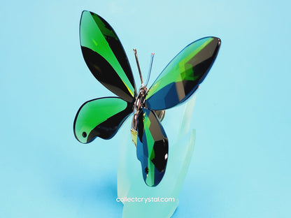 Paradise BUTTERFLY ANAMOSA MOSS GREEN # 622739