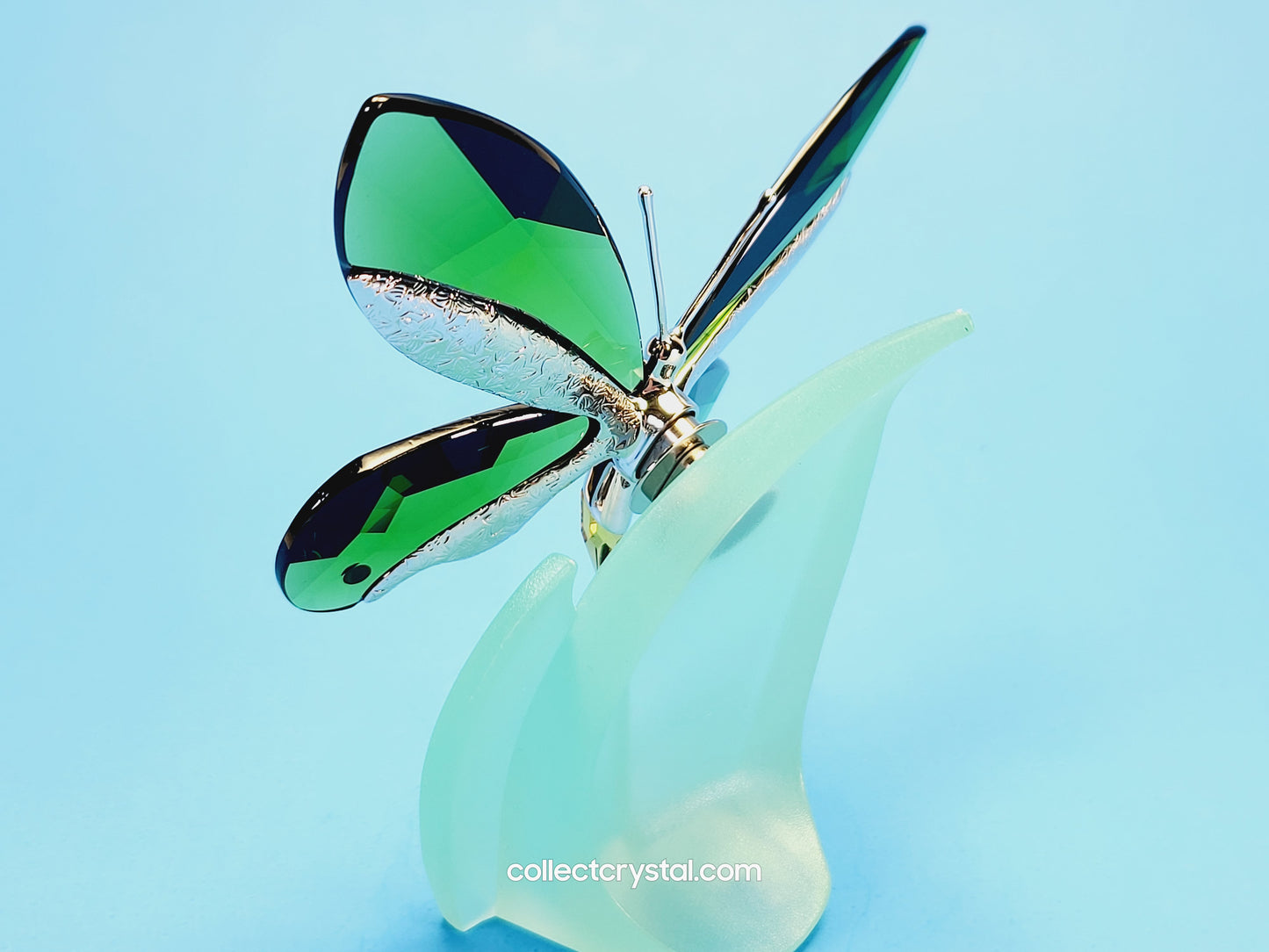 Paradise BUTTERFLY ANAMOSA MOSS GREEN # 622739
