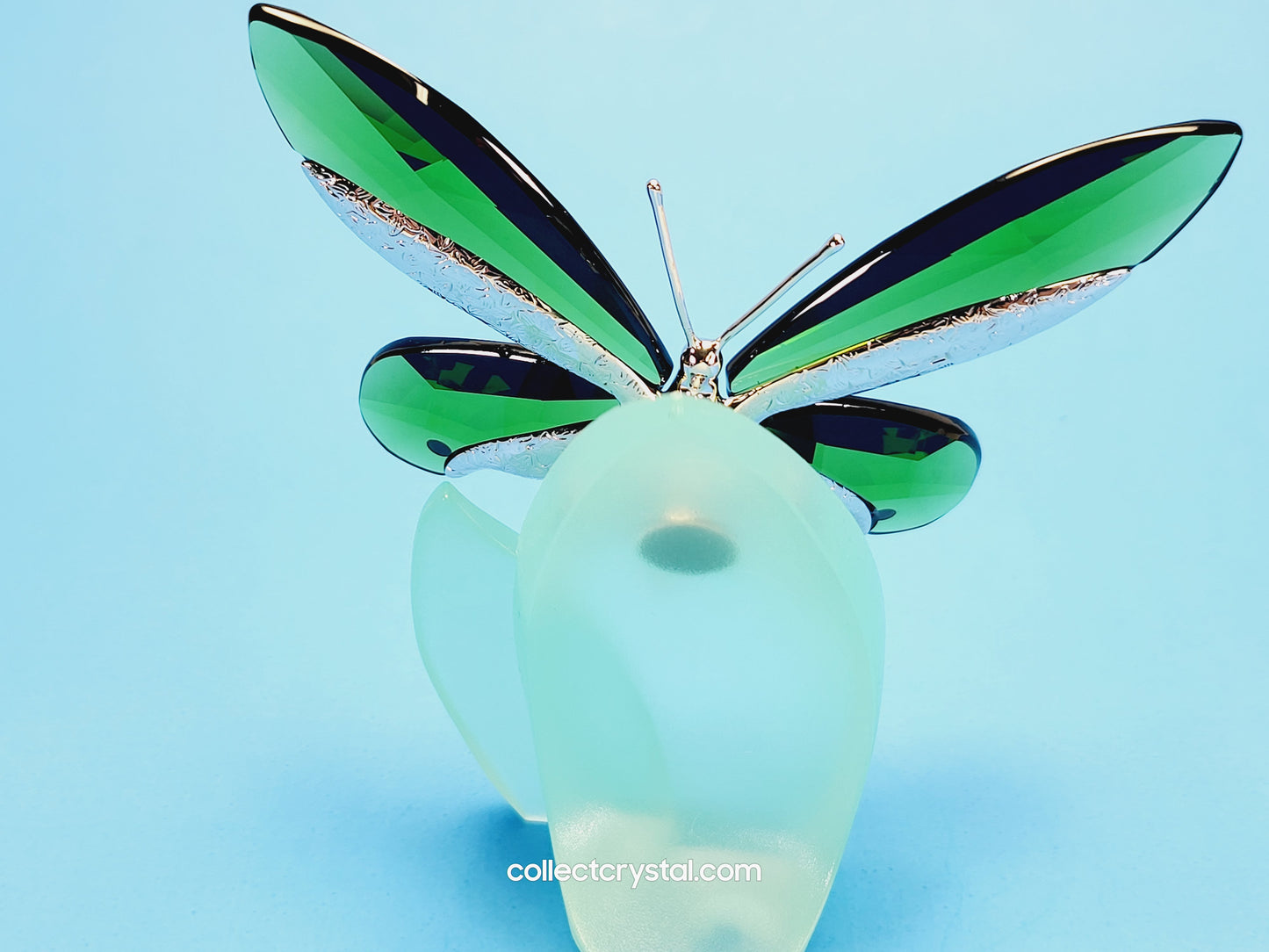 Paradise BUTTERFLY ANAMOSA MOSS GREEN # 622739