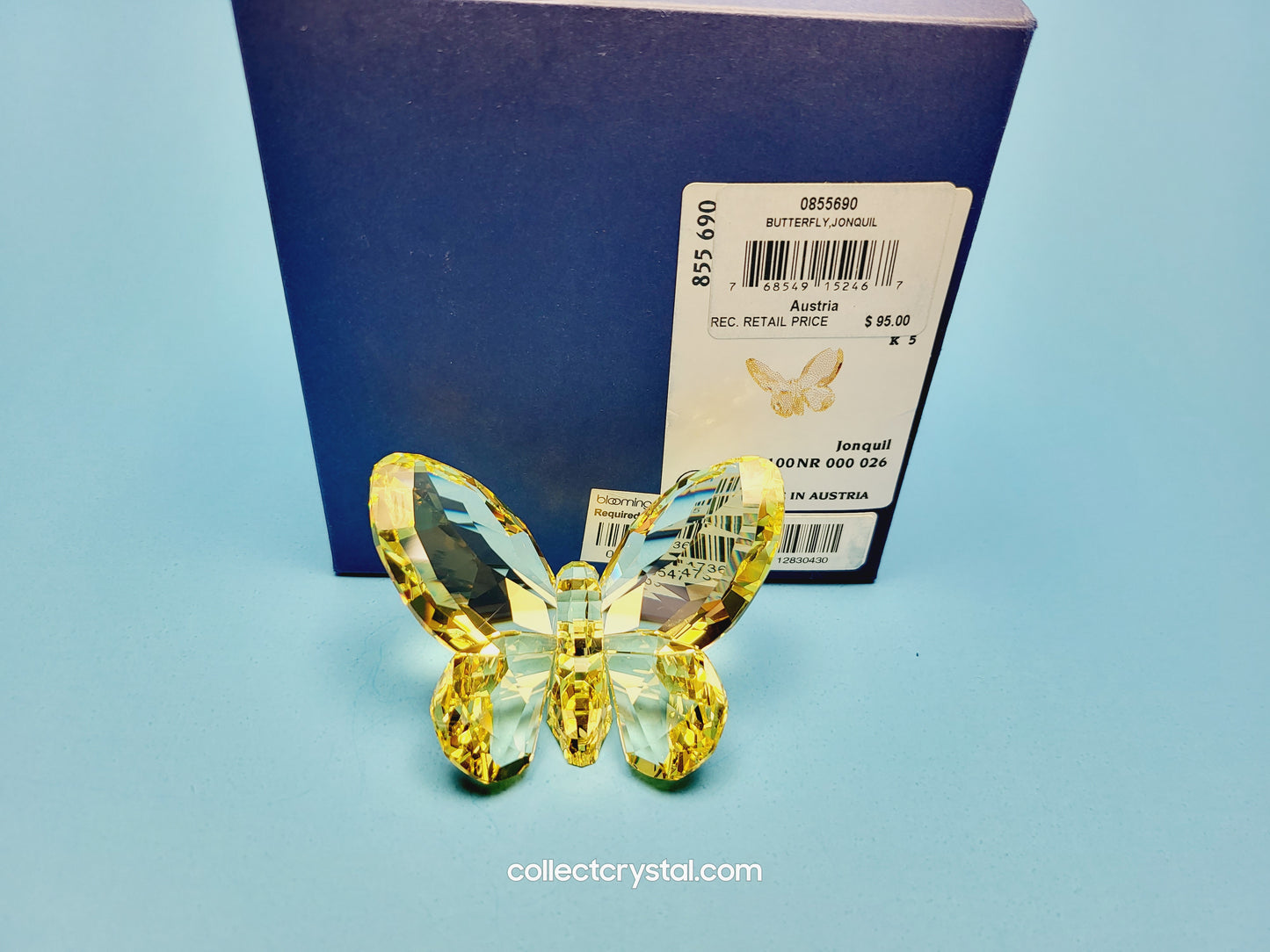 BRILLIANT BUTTERFLY – JONQUIL 855690