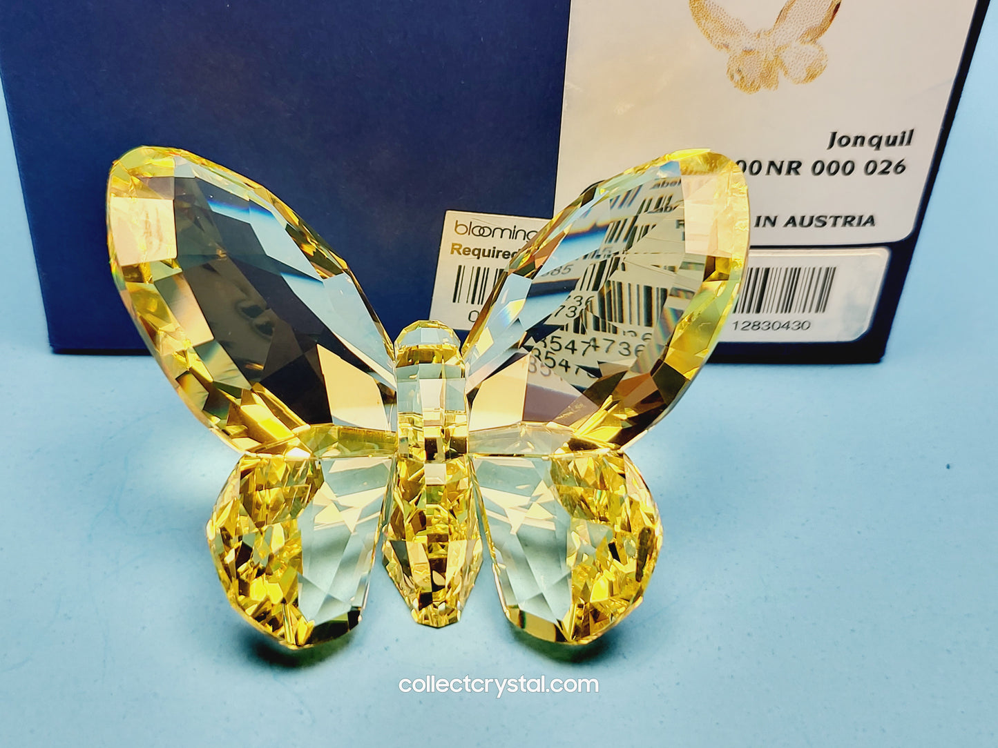 BRILLIANT BUTTERFLY – JONQUIL 855690