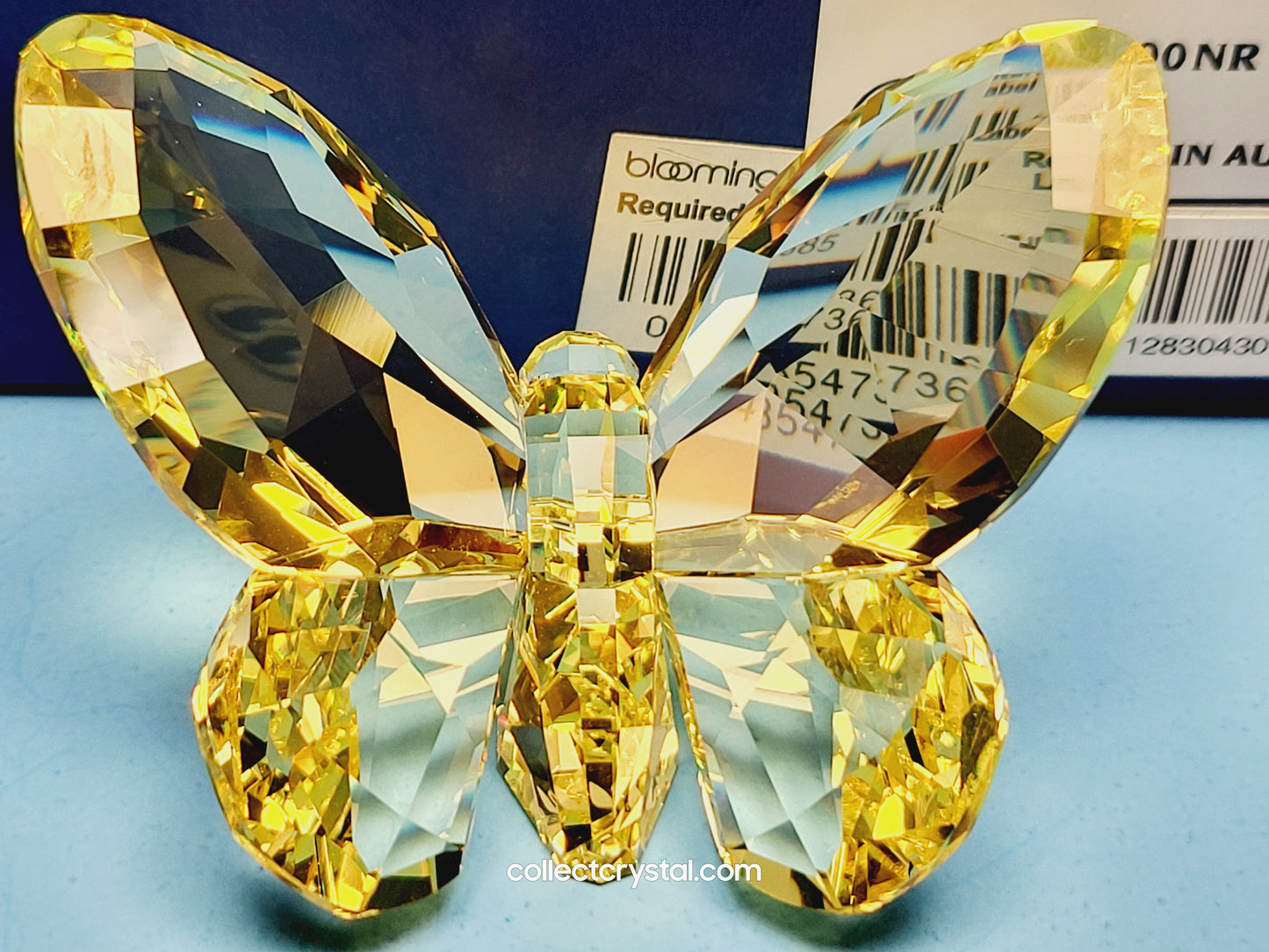 BRILLIANT BUTTERFLY – JONQUIL 855690