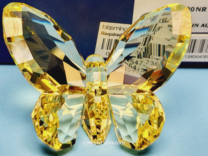 BRILLIANT BUTTERFLY – JONQUIL 855690