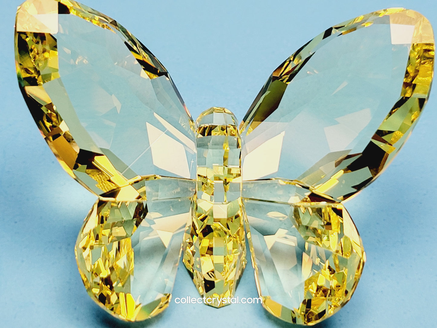 BRILLIANT BUTTERFLY – JONQUIL 855690