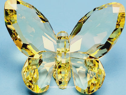 BRILLIANT BUTTERFLY – JONQUIL 855690