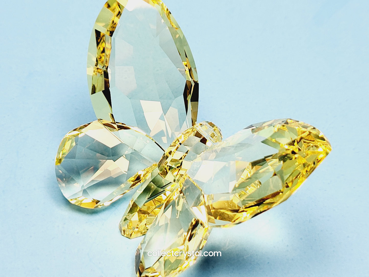 BRILLIANT BUTTERFLY – JONQUIL 855690