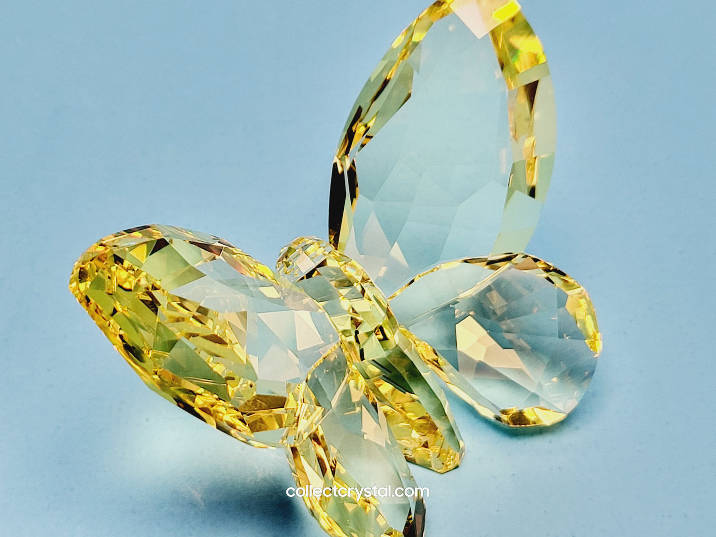 BRILLIANT BUTTERFLY – JONQUIL 855690