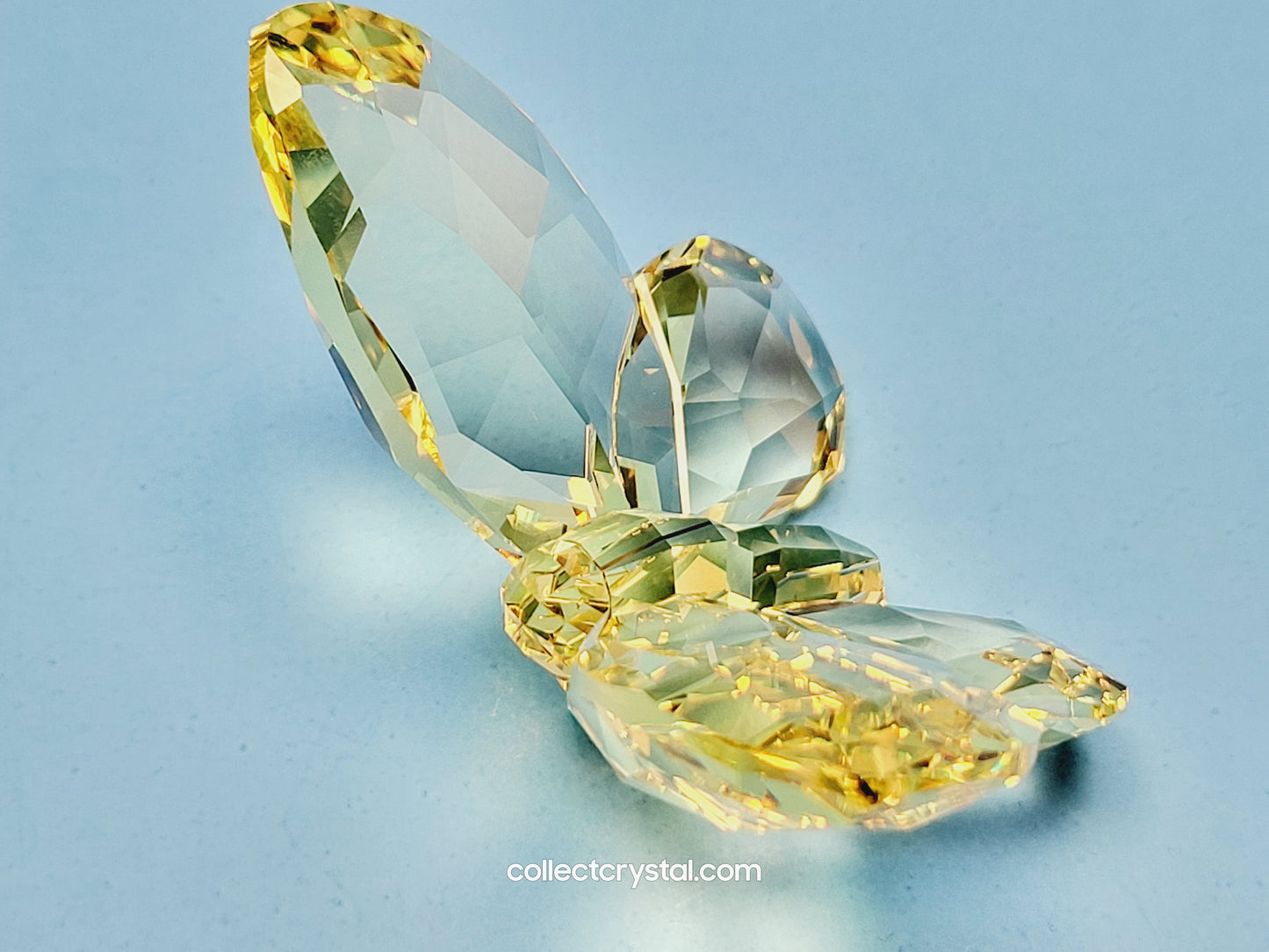 BRILLIANT BUTTERFLY – JONQUIL 855690