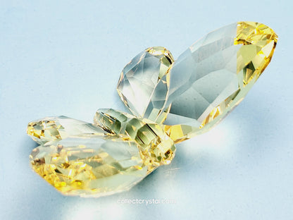 BRILLIANT BUTTERFLY – JONQUIL 855690