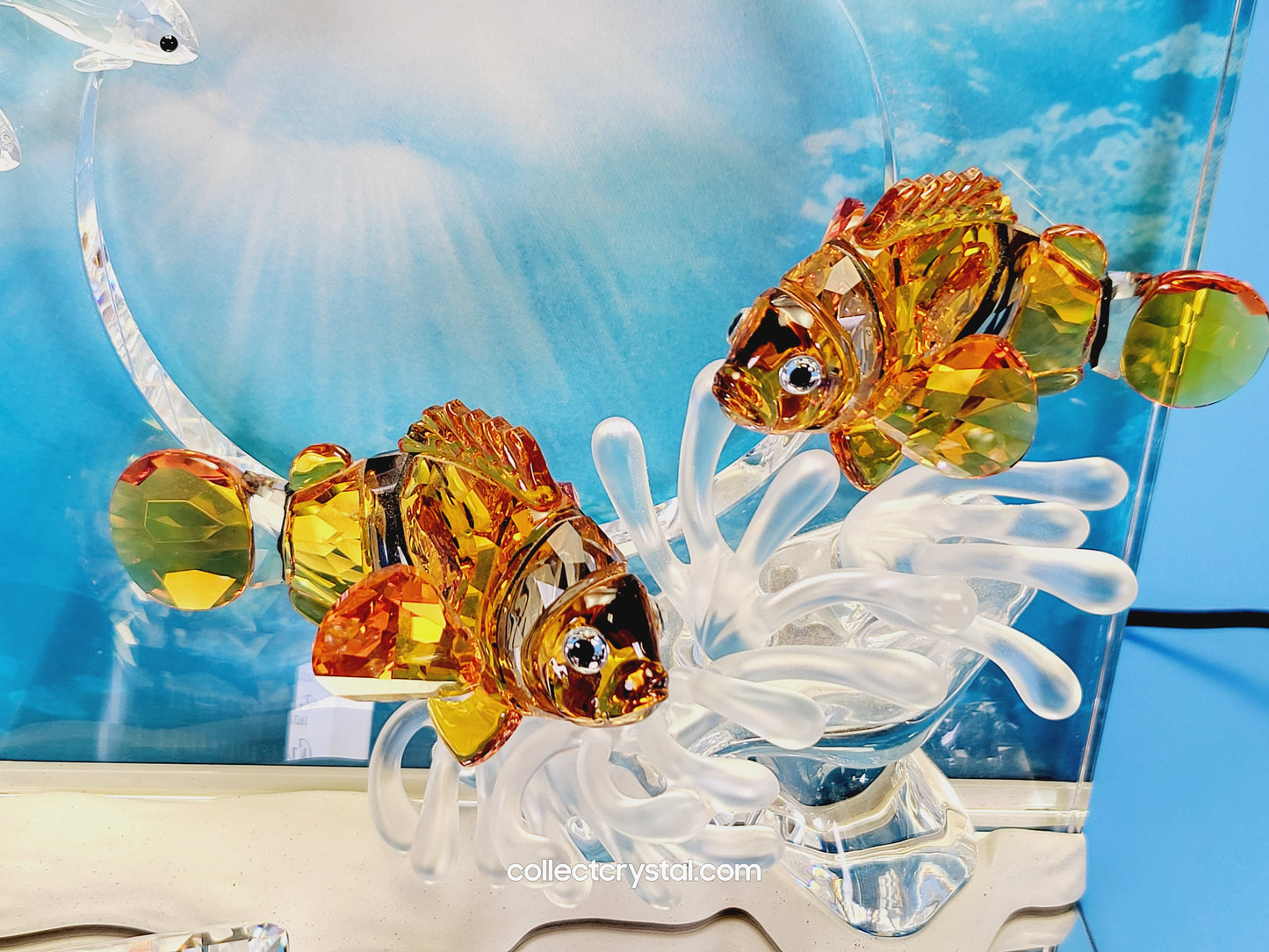 SCS AE 2005 Wonders Of The Sea HARMONY COLOR # 657120 MIB
