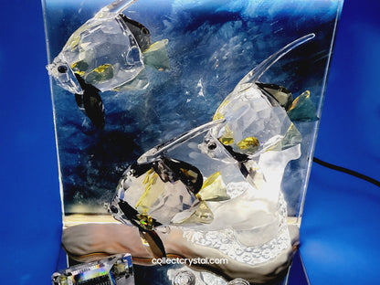 Swarovski Wonders Of The Sea SCS Community Colored Set w accessories # 854650
