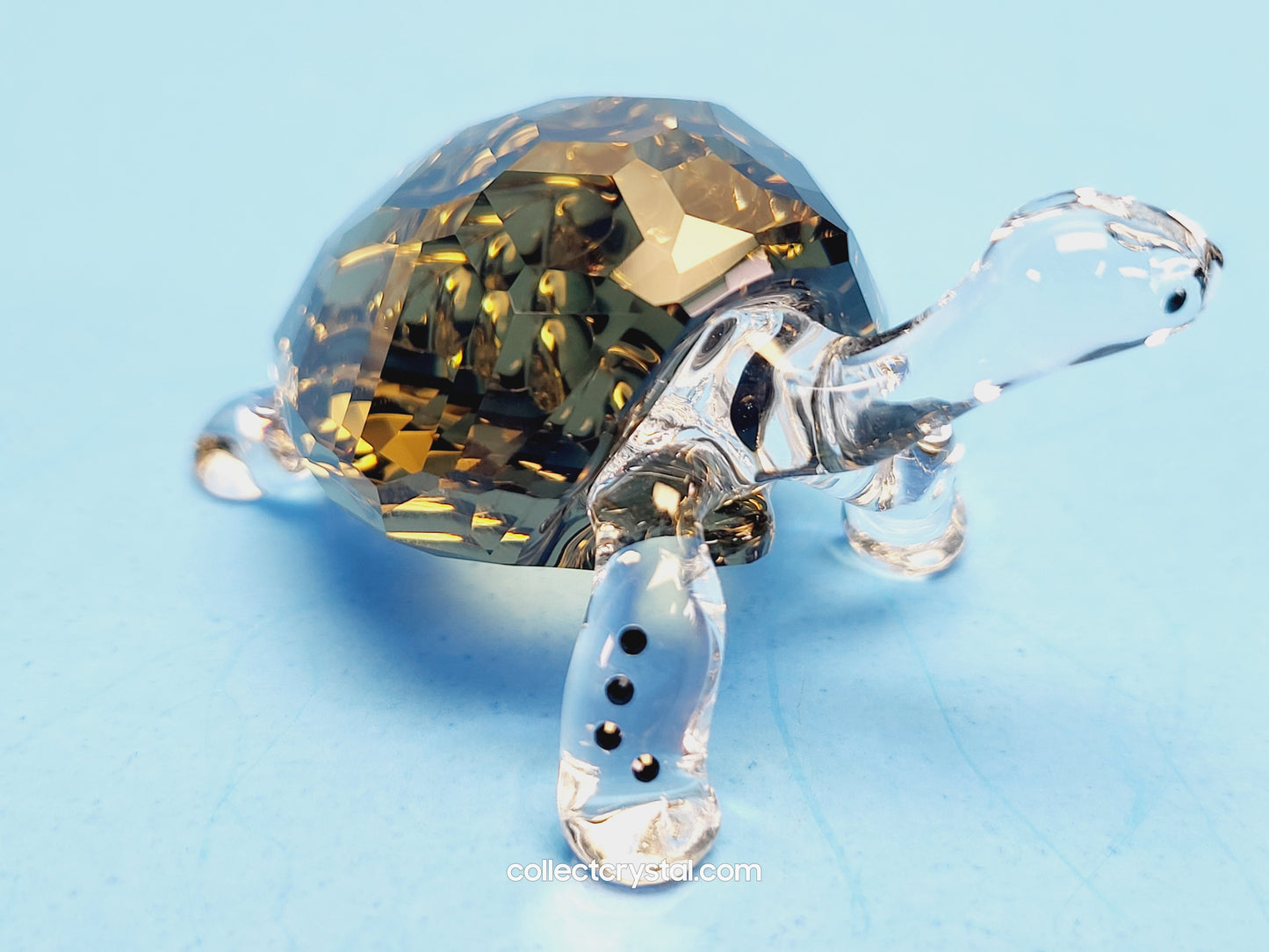 2010 EVENT PIECE – GALAPAGOS TORTOISE 995036