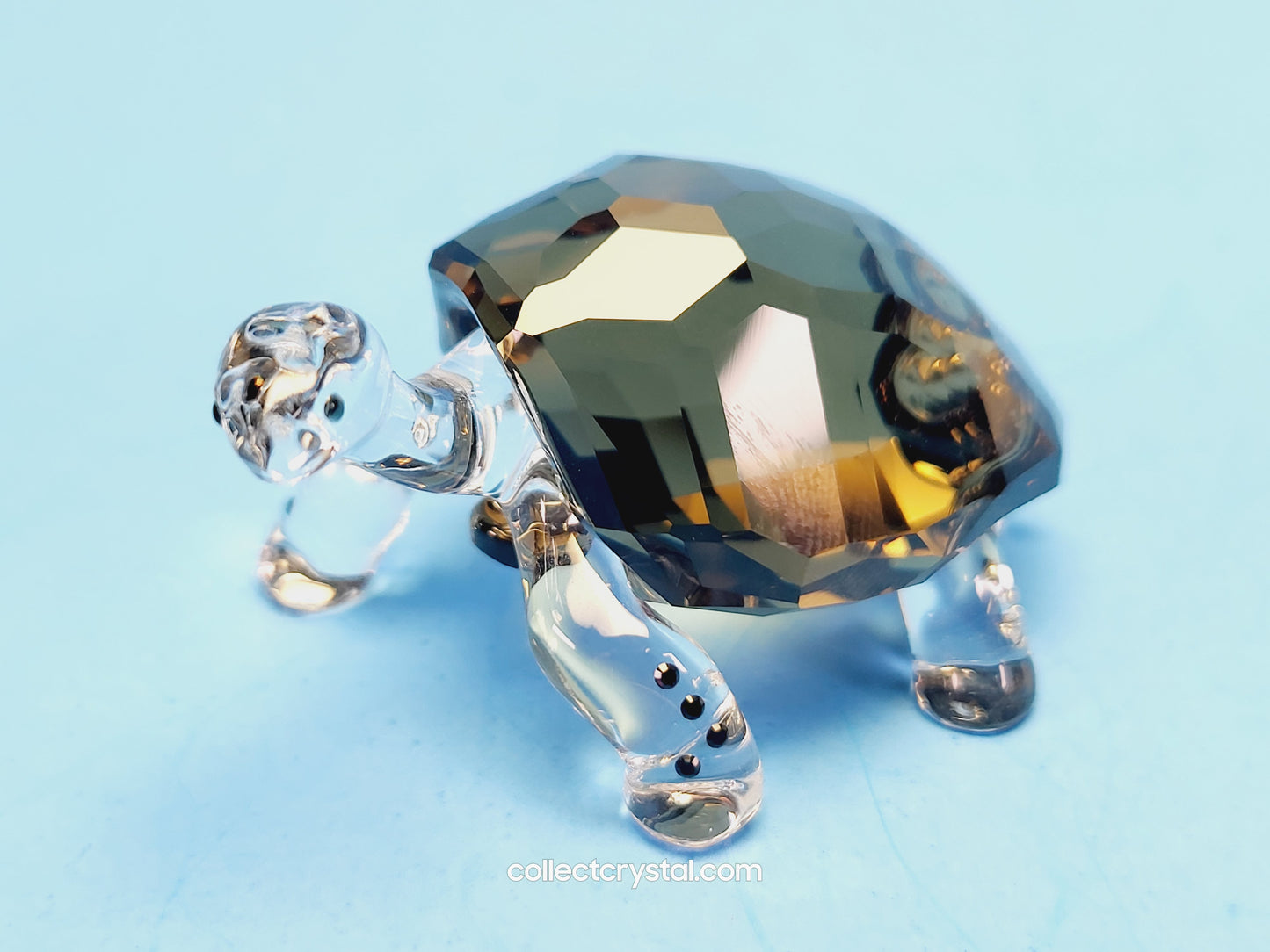 2010 EVENT PIECE – GALAPAGOS TORTOISE 995036