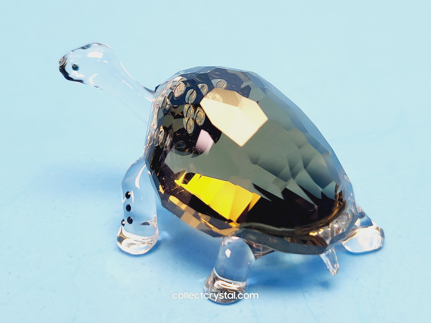 2010 EVENT PIECE – GALAPAGOS TORTOISE 995036