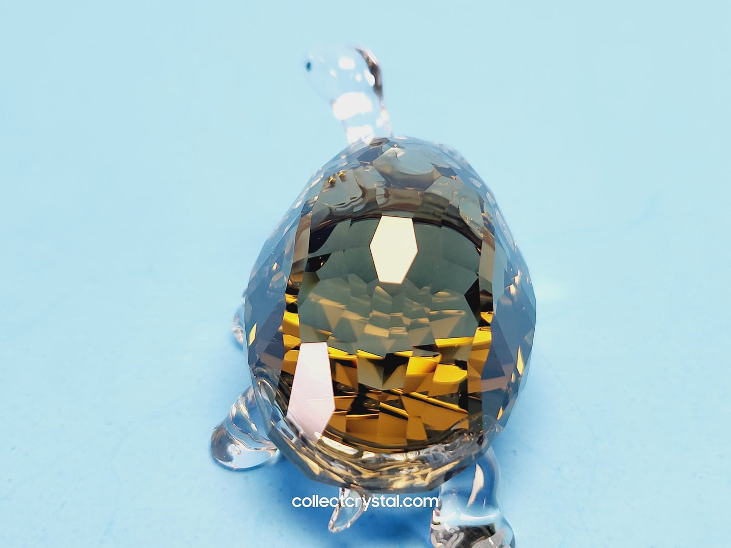 2010 EVENT PIECE – GALAPAGOS TORTOISE 995036