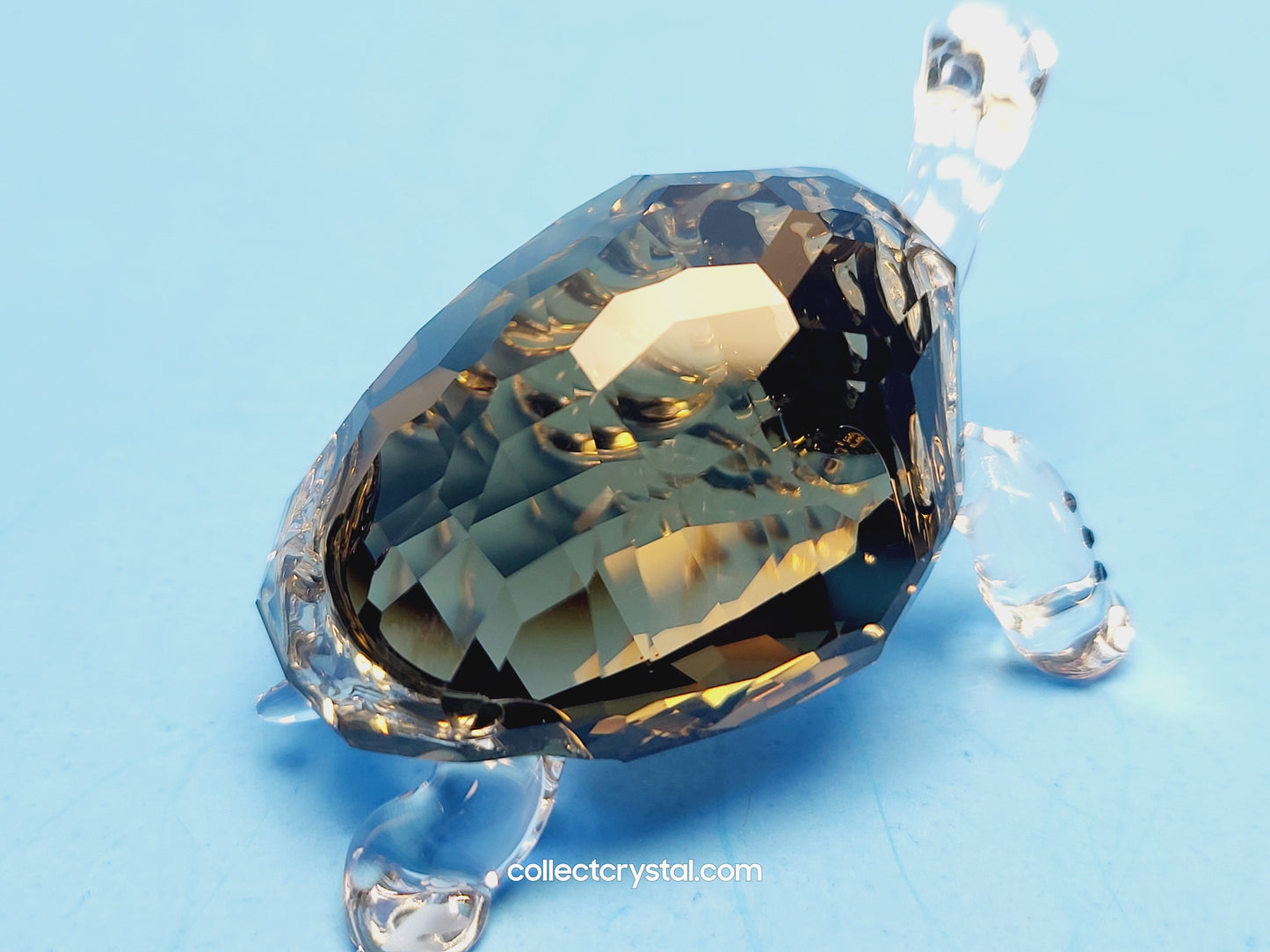 2010 EVENT PIECE – GALAPAGOS TORTOISE 995036