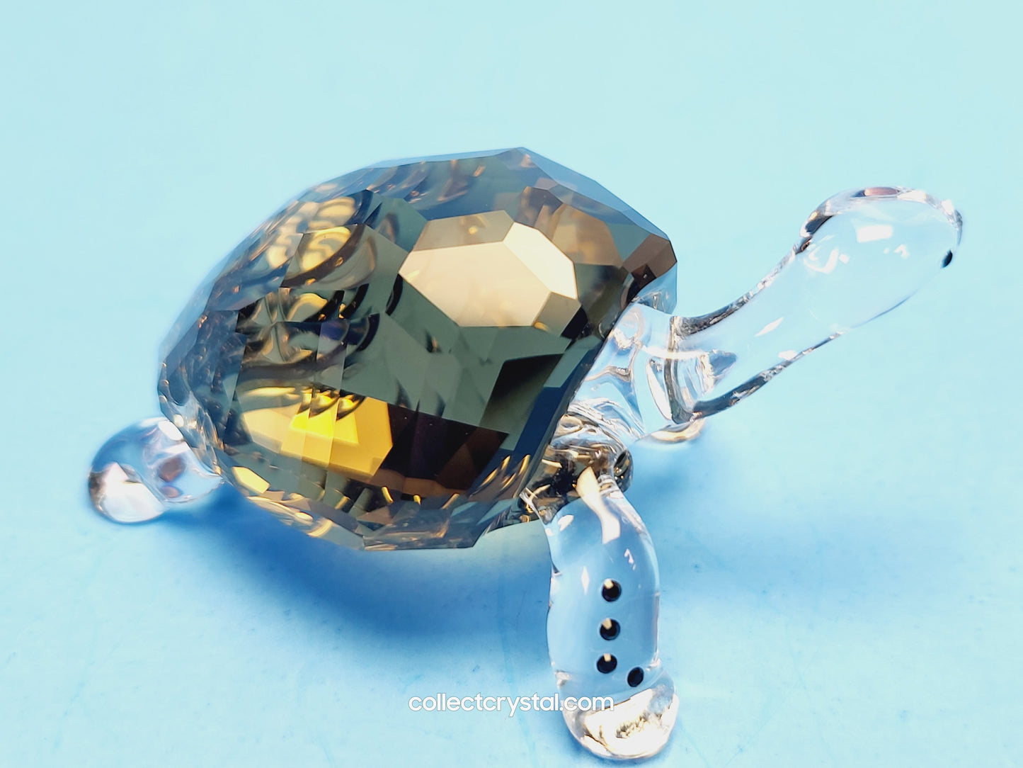 2010 EVENT PIECE – GALAPAGOS TORTOISE 995036